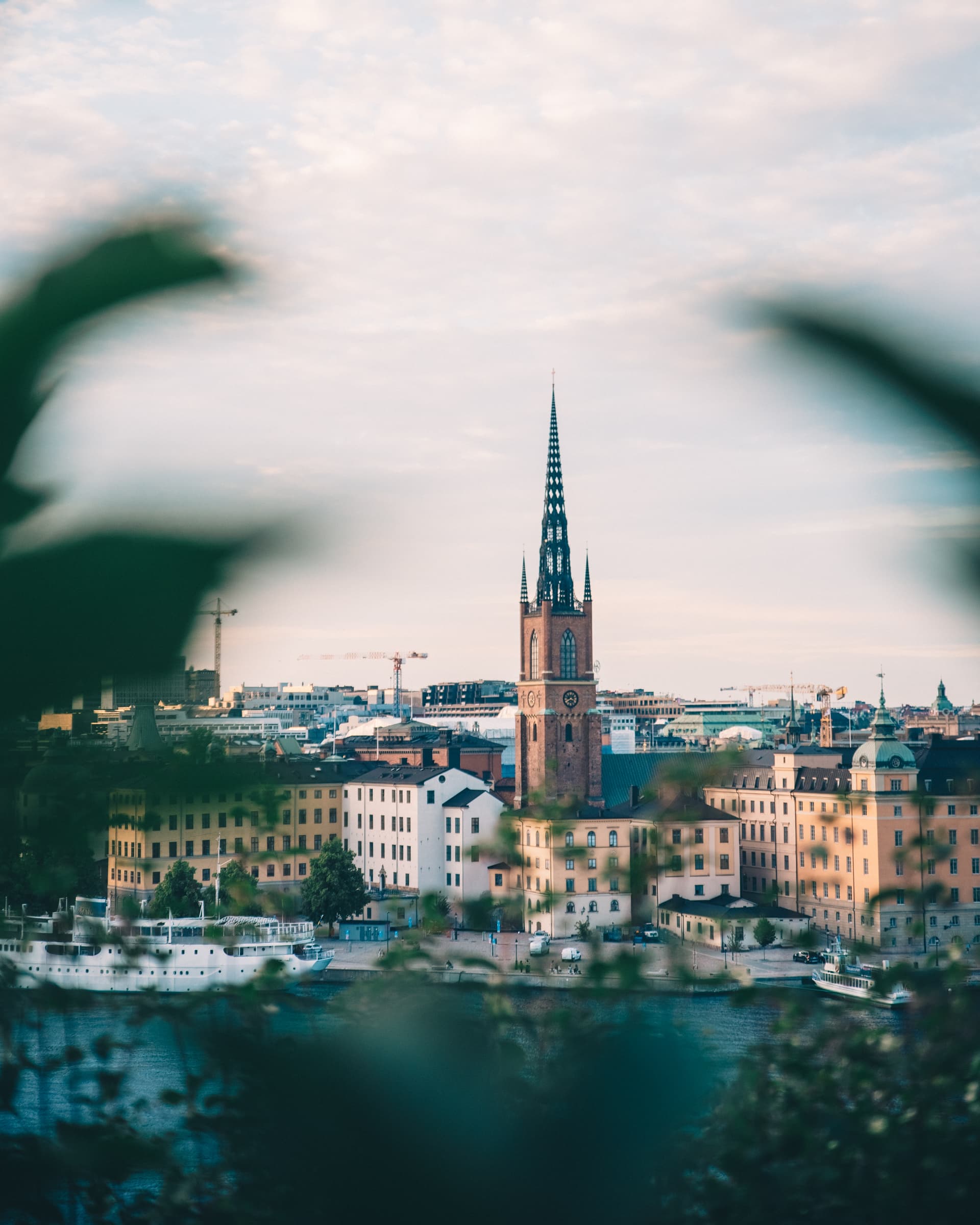 The spire of Riddarholmen Church above the rooftops of Stockholm, framed by leaves